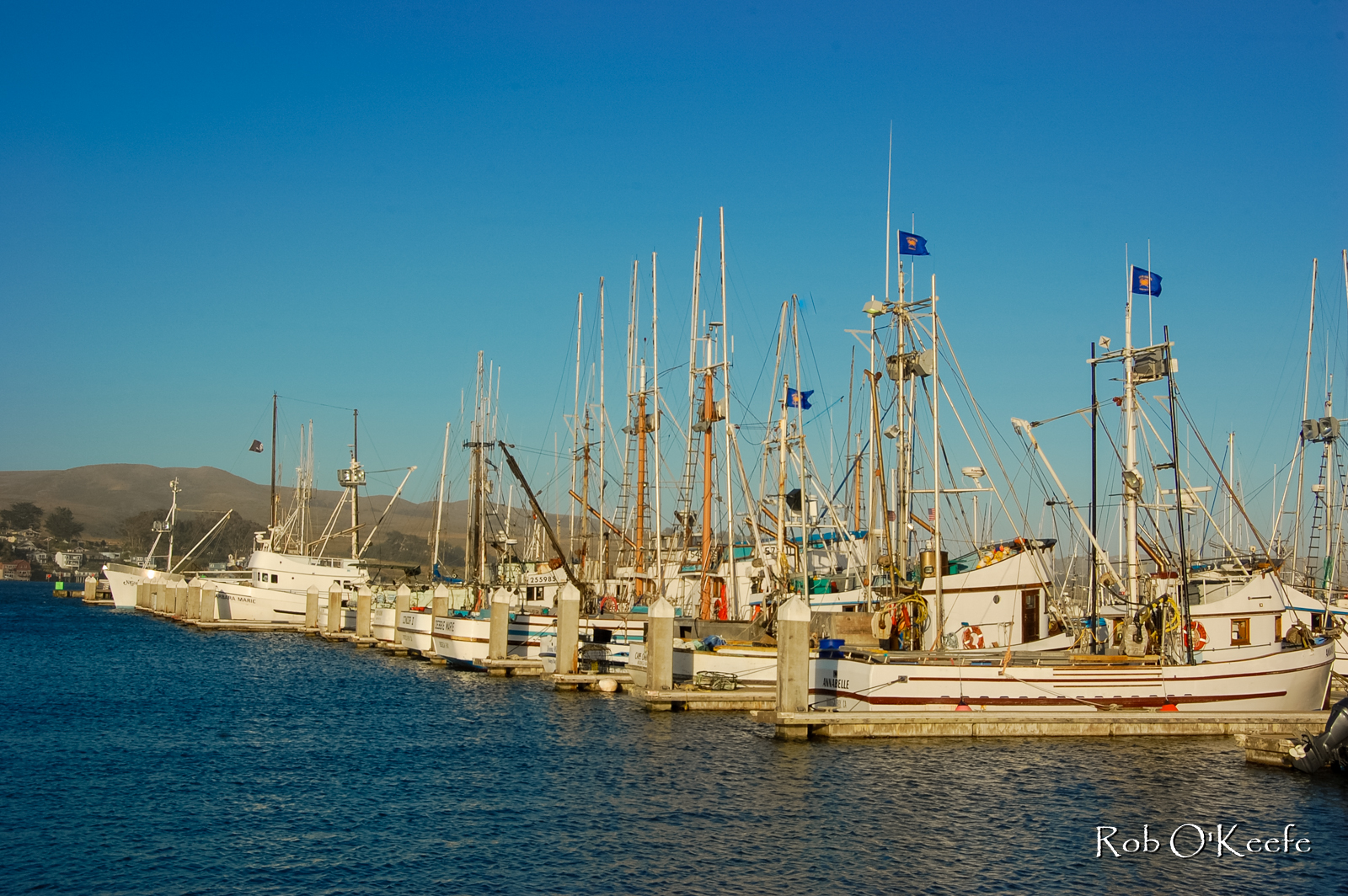 Bodega Bay