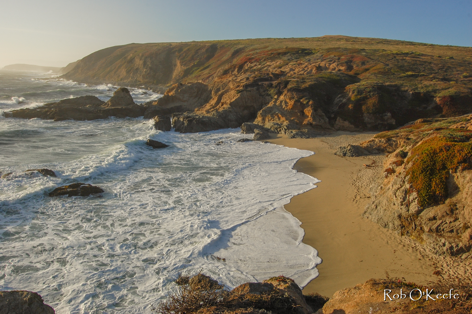 Bodega Head