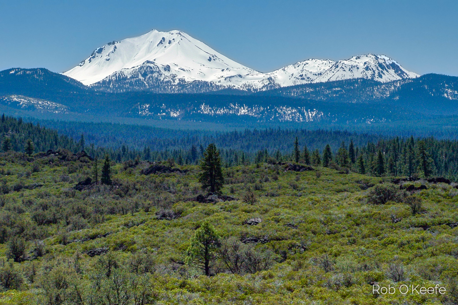 Lassen in Spring