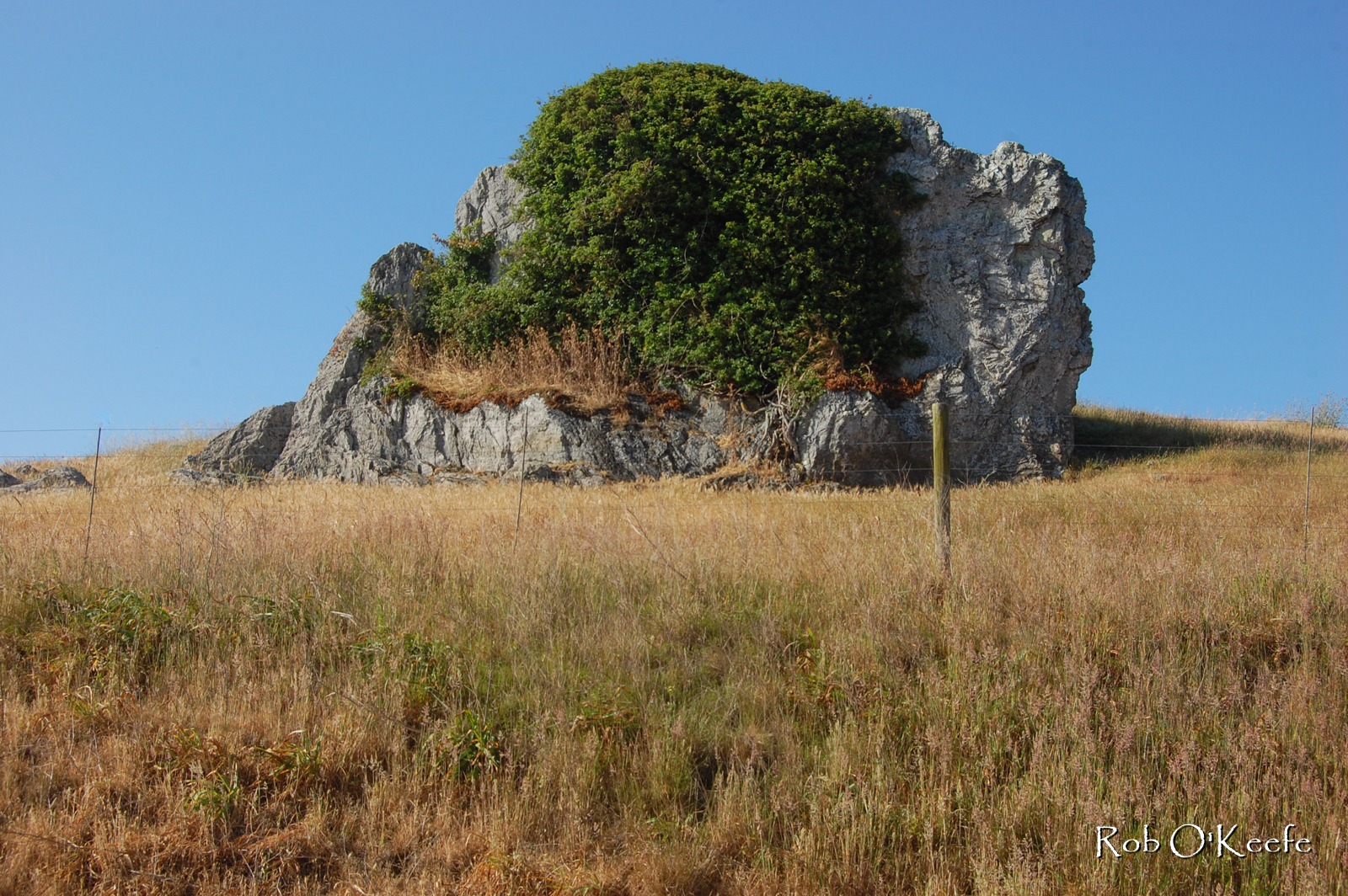 Marine Terraces