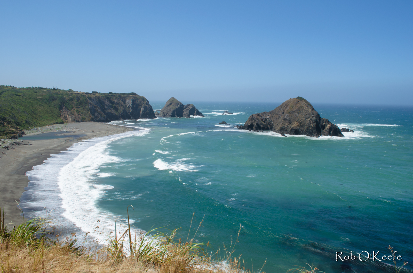 Mendocino Coast