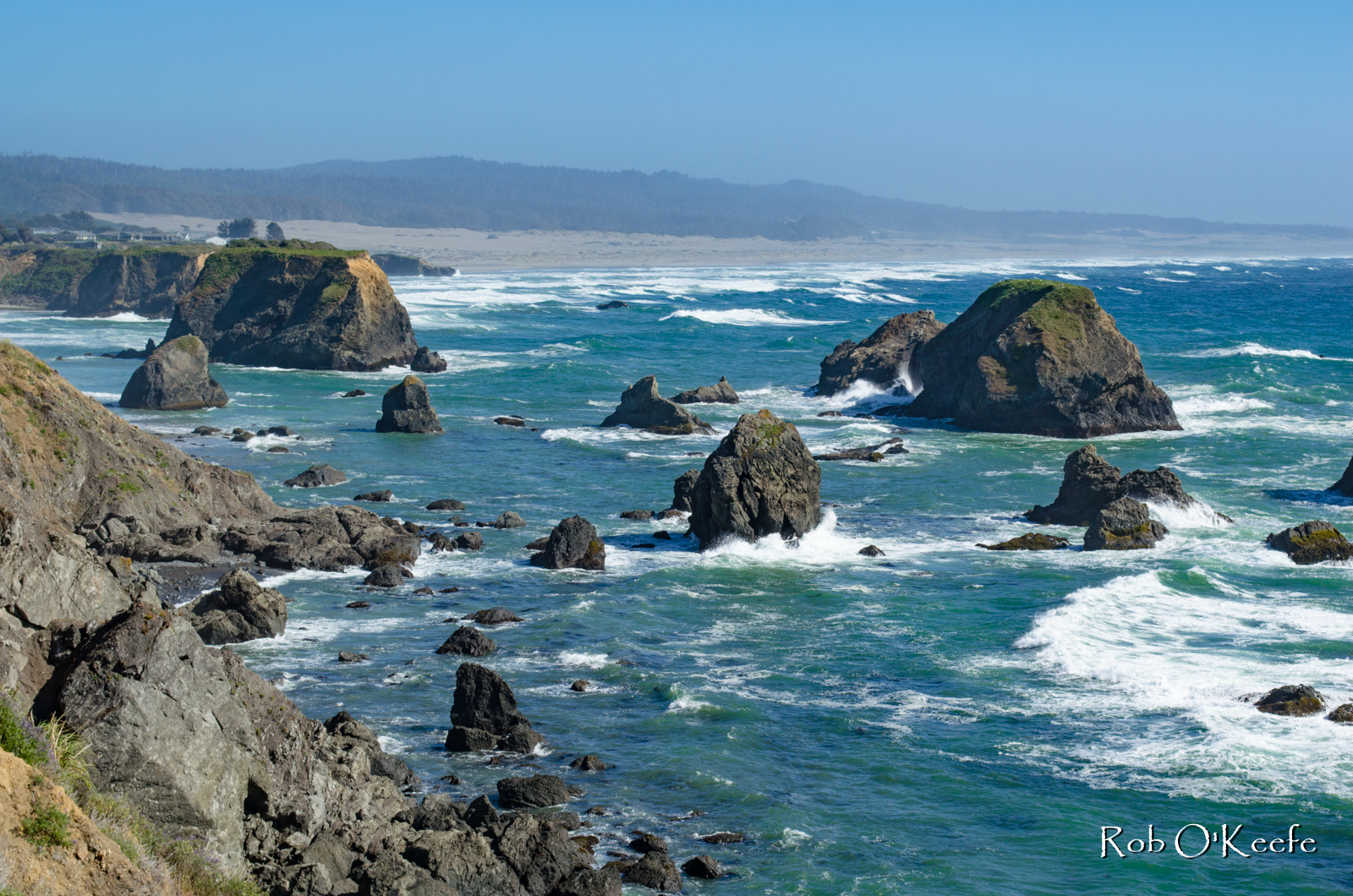 Mendocino Coast