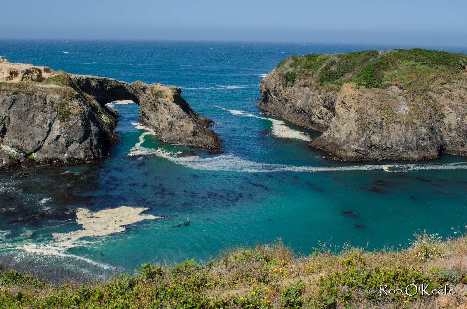 Mendocino Headlands State Park