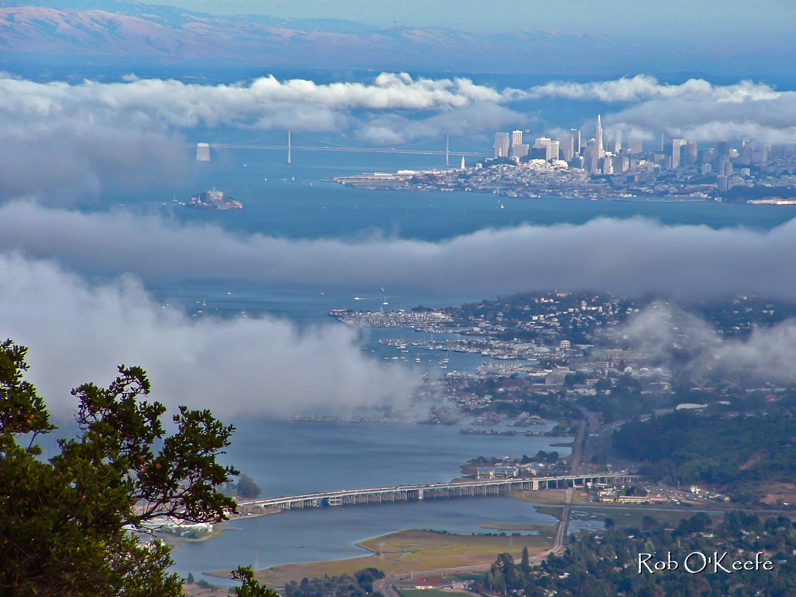 Mount Tamalpais