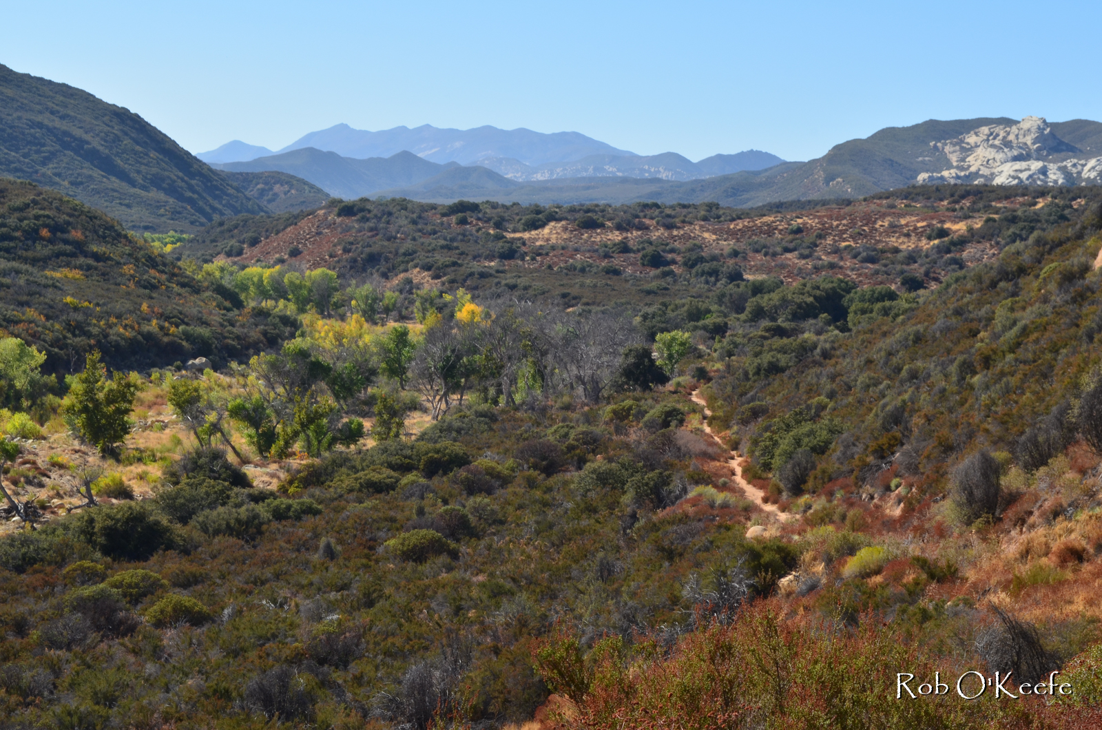 Riparian Corridor
