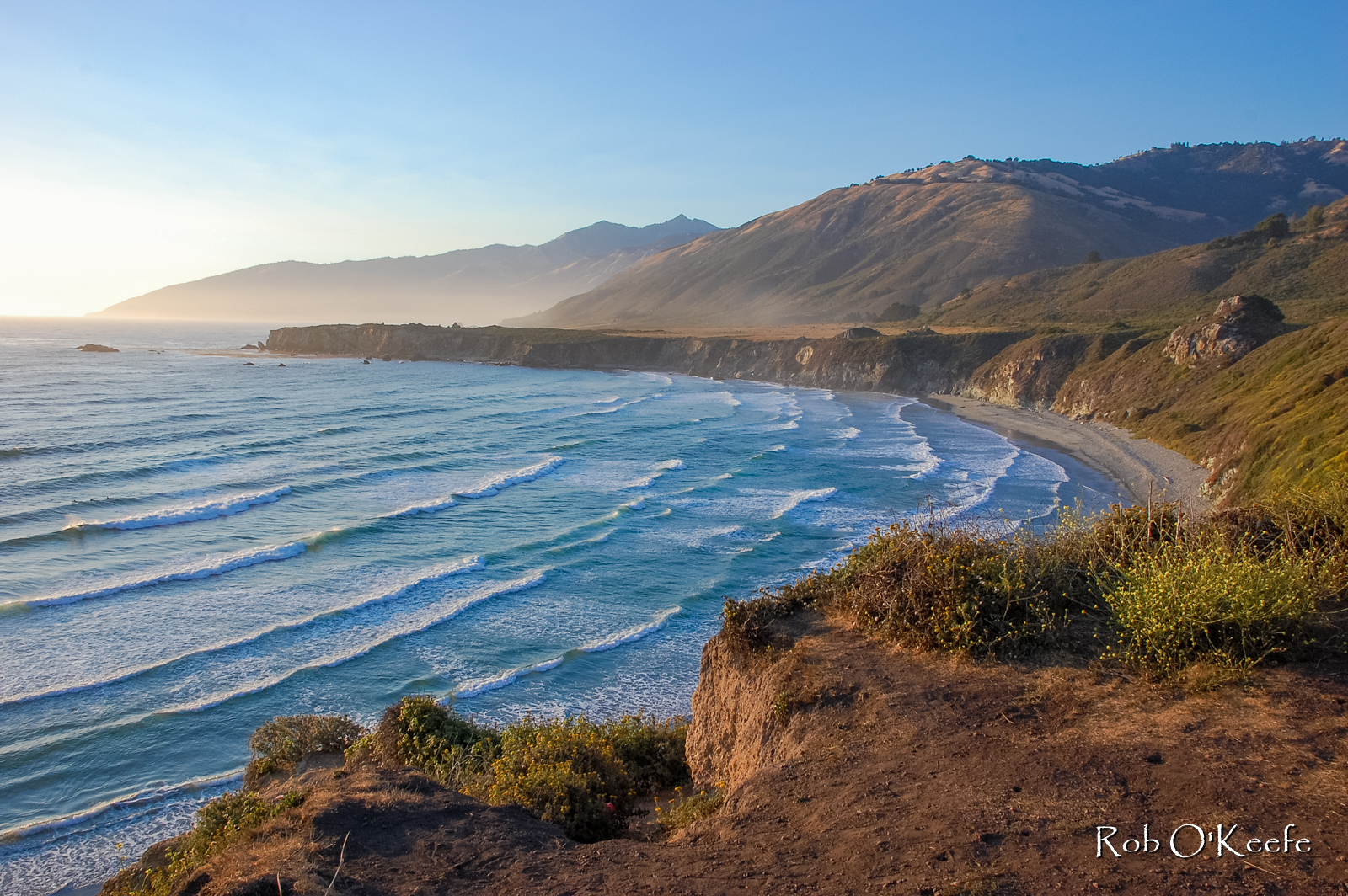 Sand Dollar Beach