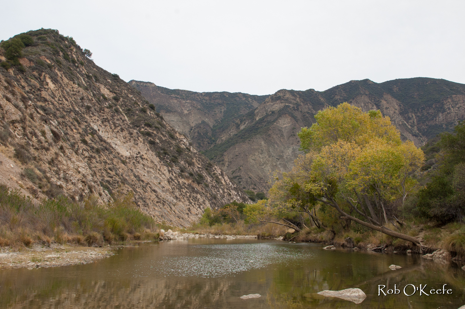 The Santa Ynez River