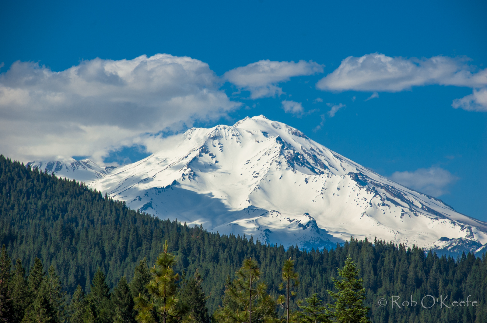Mount Shasta
