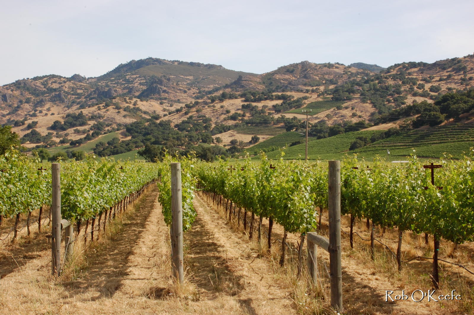 Sonoma Valley