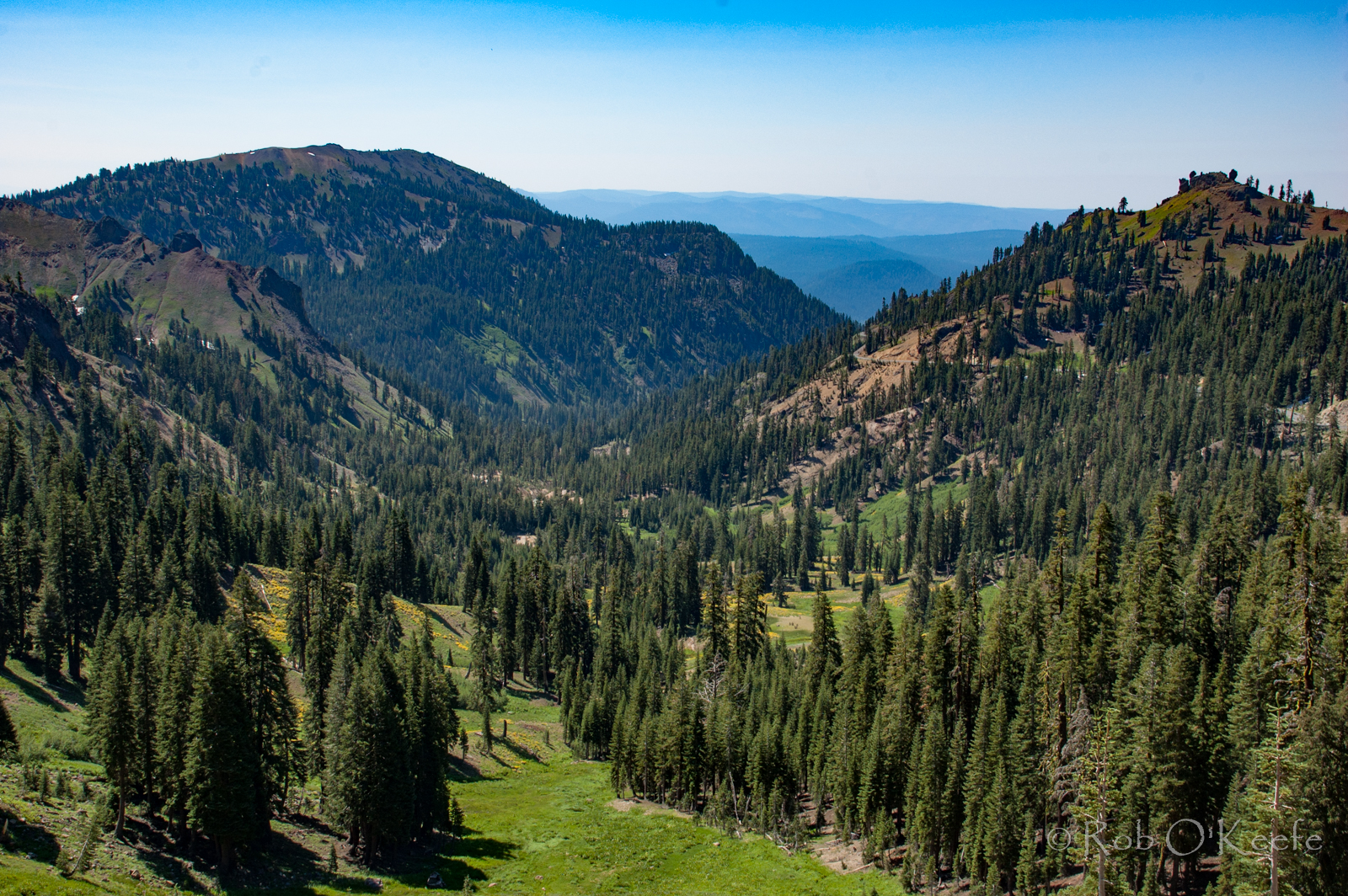 Southern Casade Forests