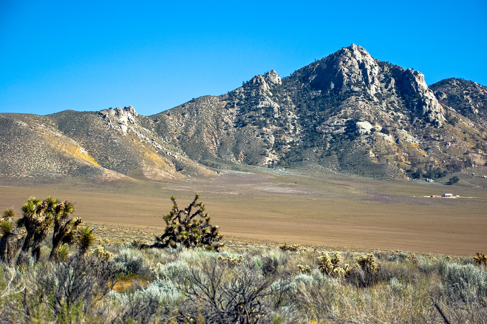 Southern Sierra Nevada