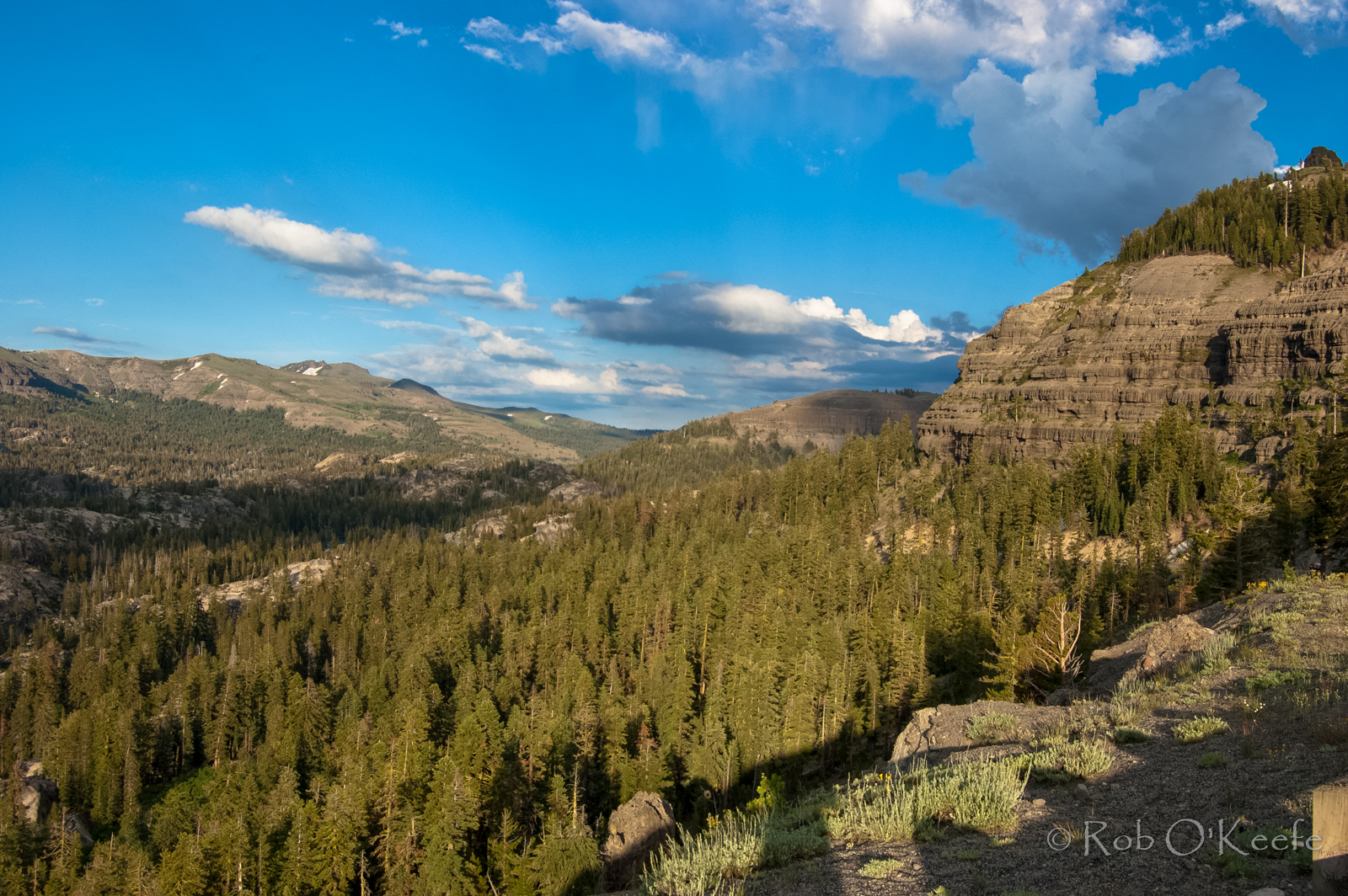 Sierra Nevada