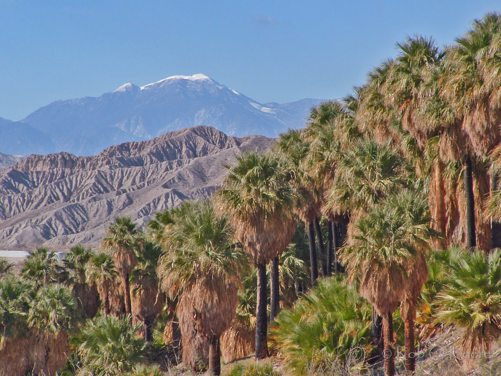 Thousand Palms Oasis