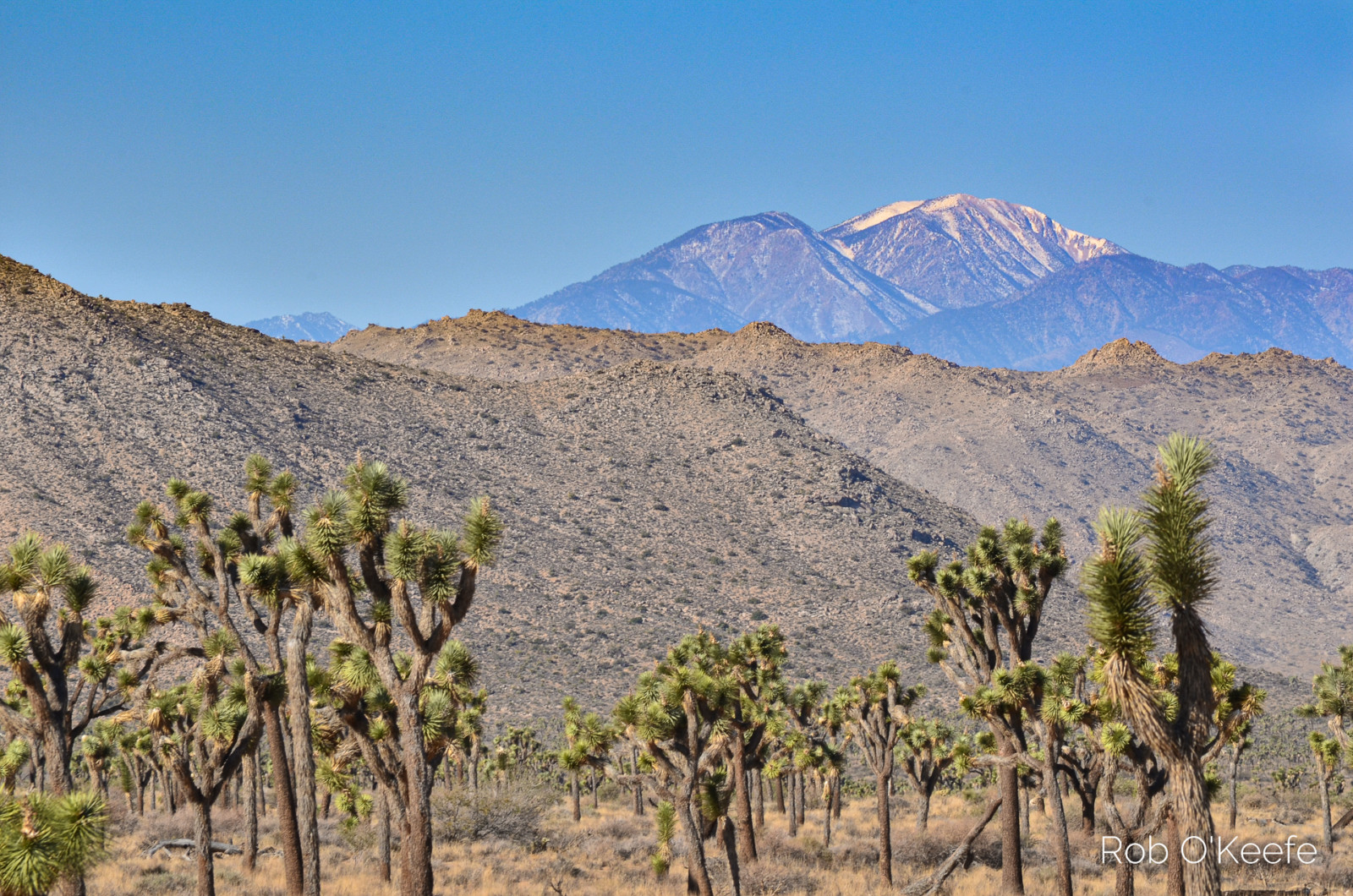 Snows of San Gorgonio